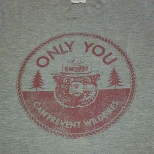 🐻🔥🚫 Smokey Bear Shirt Prevent Forest Fires Wildlife Park Ranger Brown Bear Sm